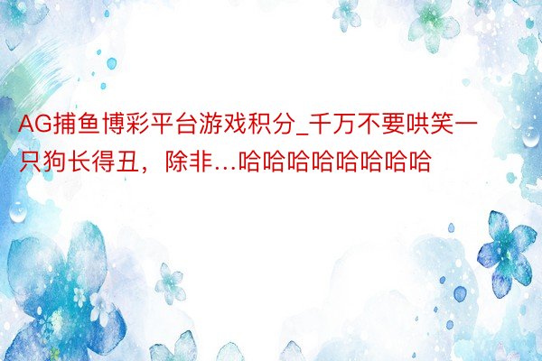 AG捕鱼博彩平台游戏积分_千万不要哄笑一只狗长得丑，除非…哈哈哈哈哈哈哈哈